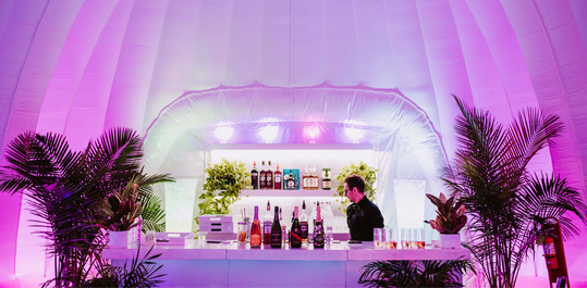 Night Bloom - Kelly Mason Photography