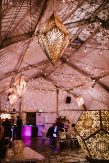 Night Bloom - Kelly Mason Photography