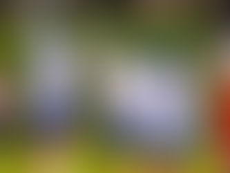 Chet’s Week 8 Poll