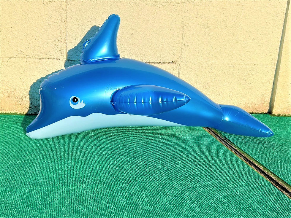 S__99737626