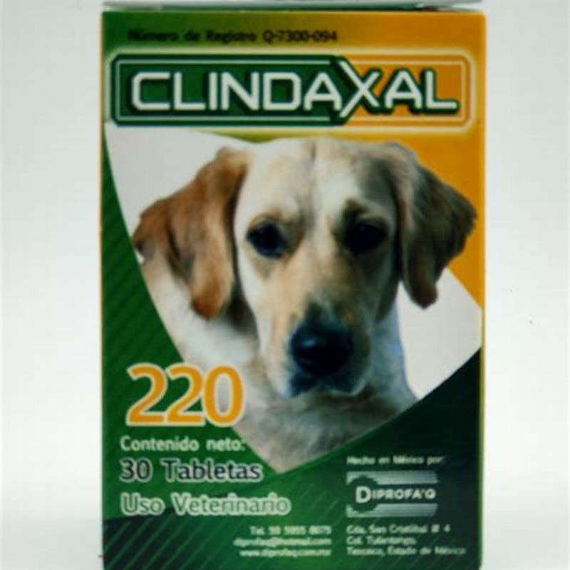 Clindaxal 220mg