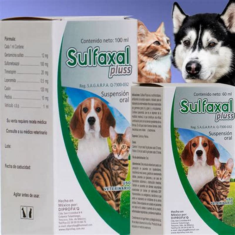 Sulfaxal Pluss Susp 100 ml