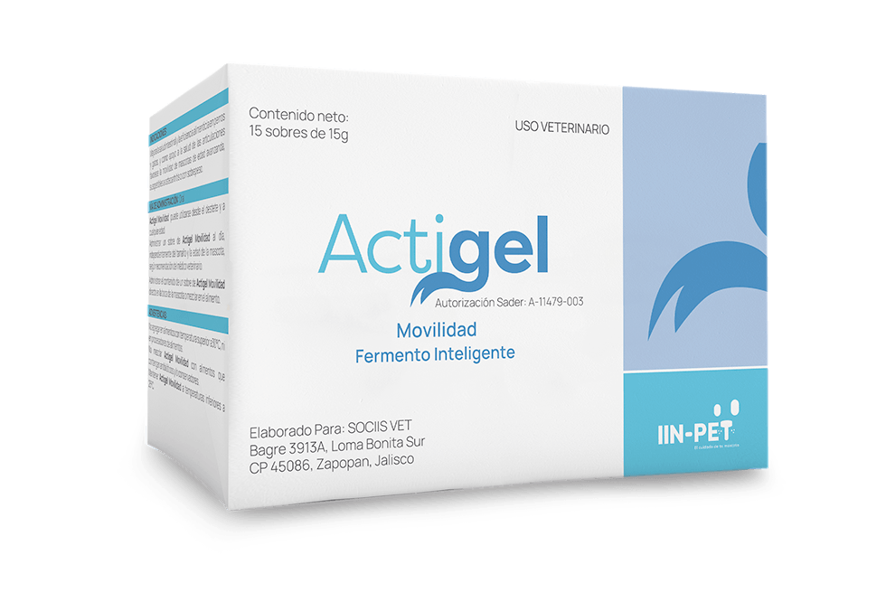 actigel-movilidad.png
