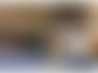 Explicación del comportamiento curioso de algunos gatos