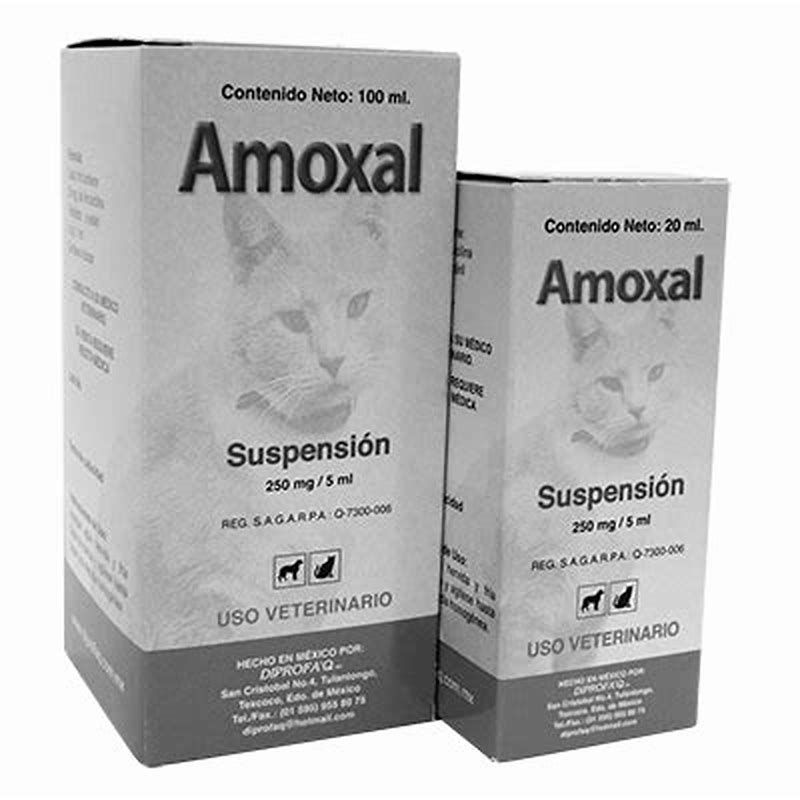 Amoxal Susp 20 ml