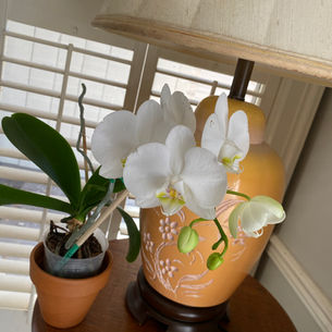 Resilience: Not Giving Up