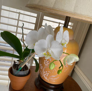 Resilience: Not Giving Up