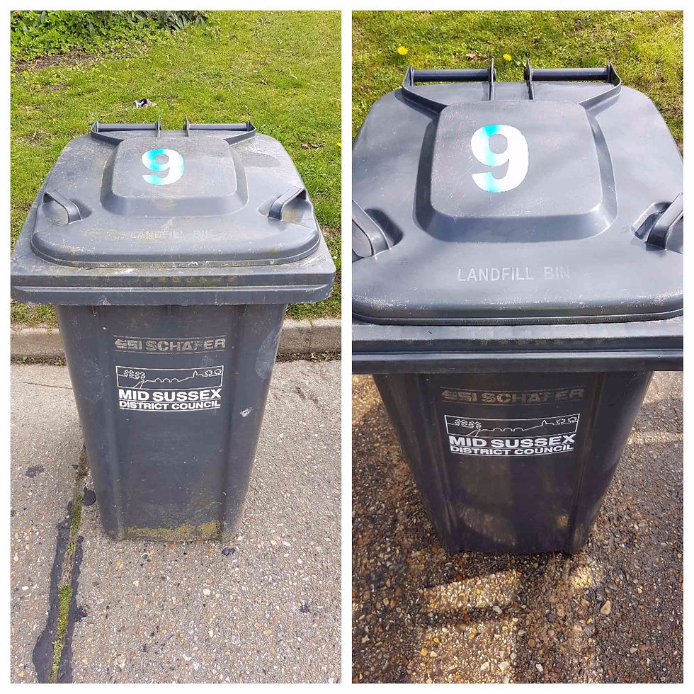 Landfill Bin Outside
