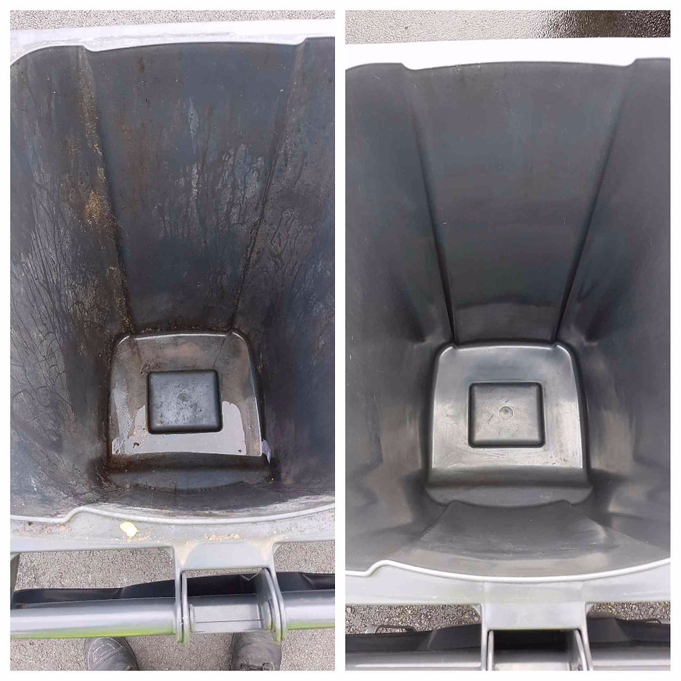 Landfill Bin 2