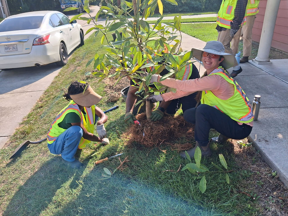 Planting Skills for the Future