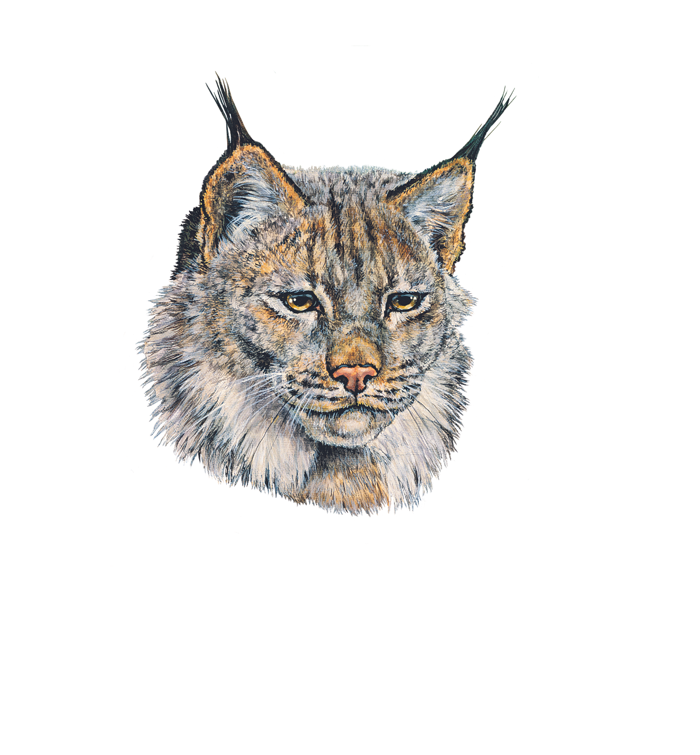 Lynx Group Inc, Commercial Quality Printing Experts | Salem, Oregon