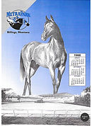 horseracing program design