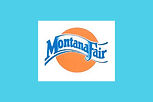 a logo design showing a rollercoaster flair for fun at the fair