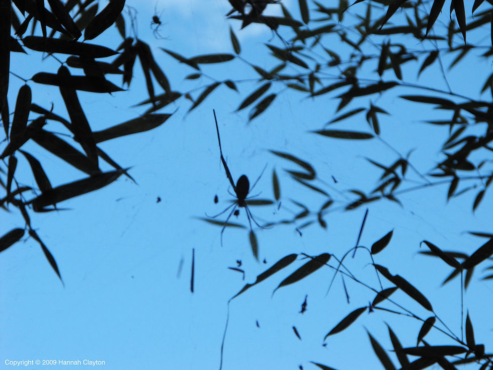 Photography.