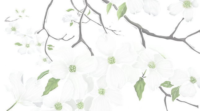 Hanamizuki