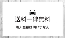 バナー送料無料 (1).png