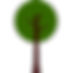 Tree-2