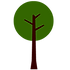 Ağaç-2