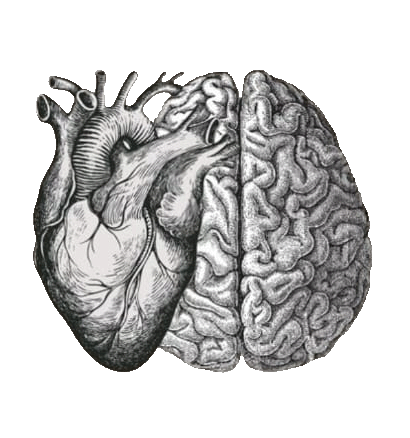 Terapia mente- cuerpo