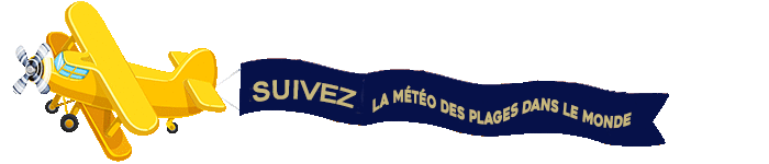 avion.gif