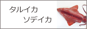 タルイカweb