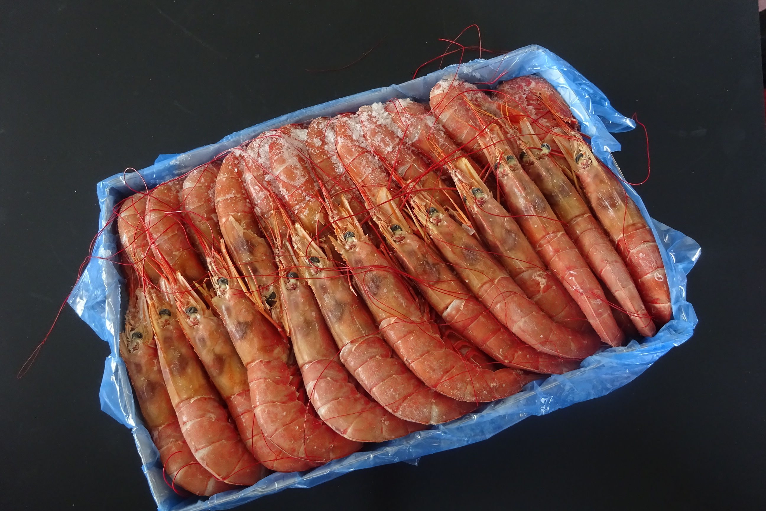 有頭赤エビ(L2)20/30 2kgｱﾙｾﾞﾝﾁﾝ