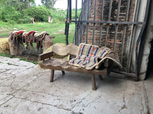 IMG_8103.jpeg