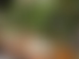 How Wedding Photoshoots Can Be Misleading