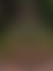 How To Create Your Wedding Design | Part 1