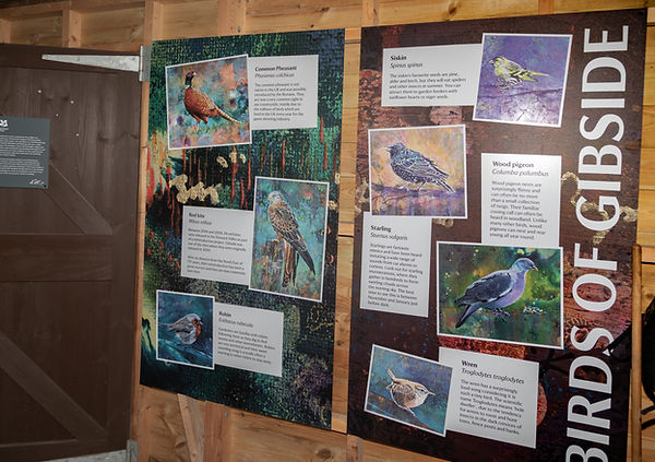 _E0A8607 Gibside NT - Bird Day - Saturday 22nd March 2025 - bird hide - Tony Blackett-14.j