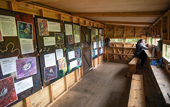_E0A8620 Gibside NT - Bird Day - Saturday 22nd March 2025 - bird hide - Tony Blackett-22.j