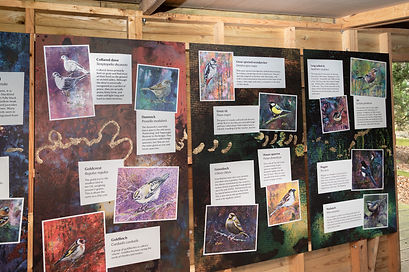 _E0A8604 2025-03-22 - Gibside NT- Bird Day-01 Artist Katherine Rogers - Tony Blackett-
