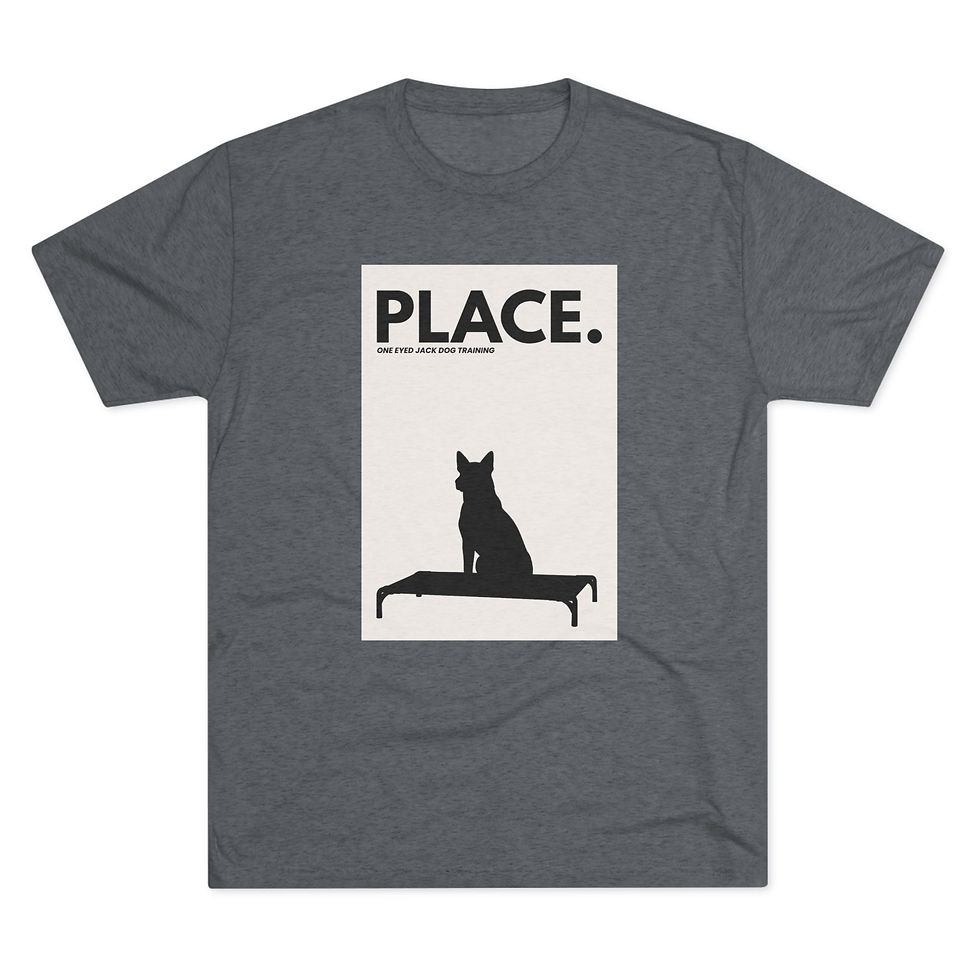 Thumbnail: One Eyed Jack - Place T-Shirt