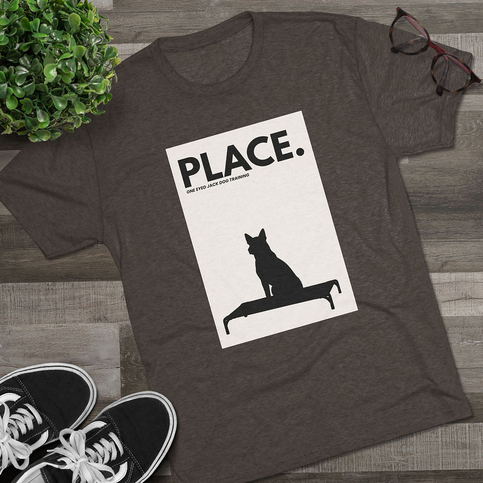 Thumbnail: One Eyed Jack - Place T-Shirt