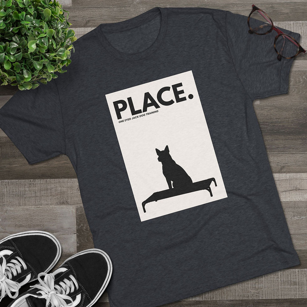 Thumbnail: One Eyed Jack - Place T-Shirt