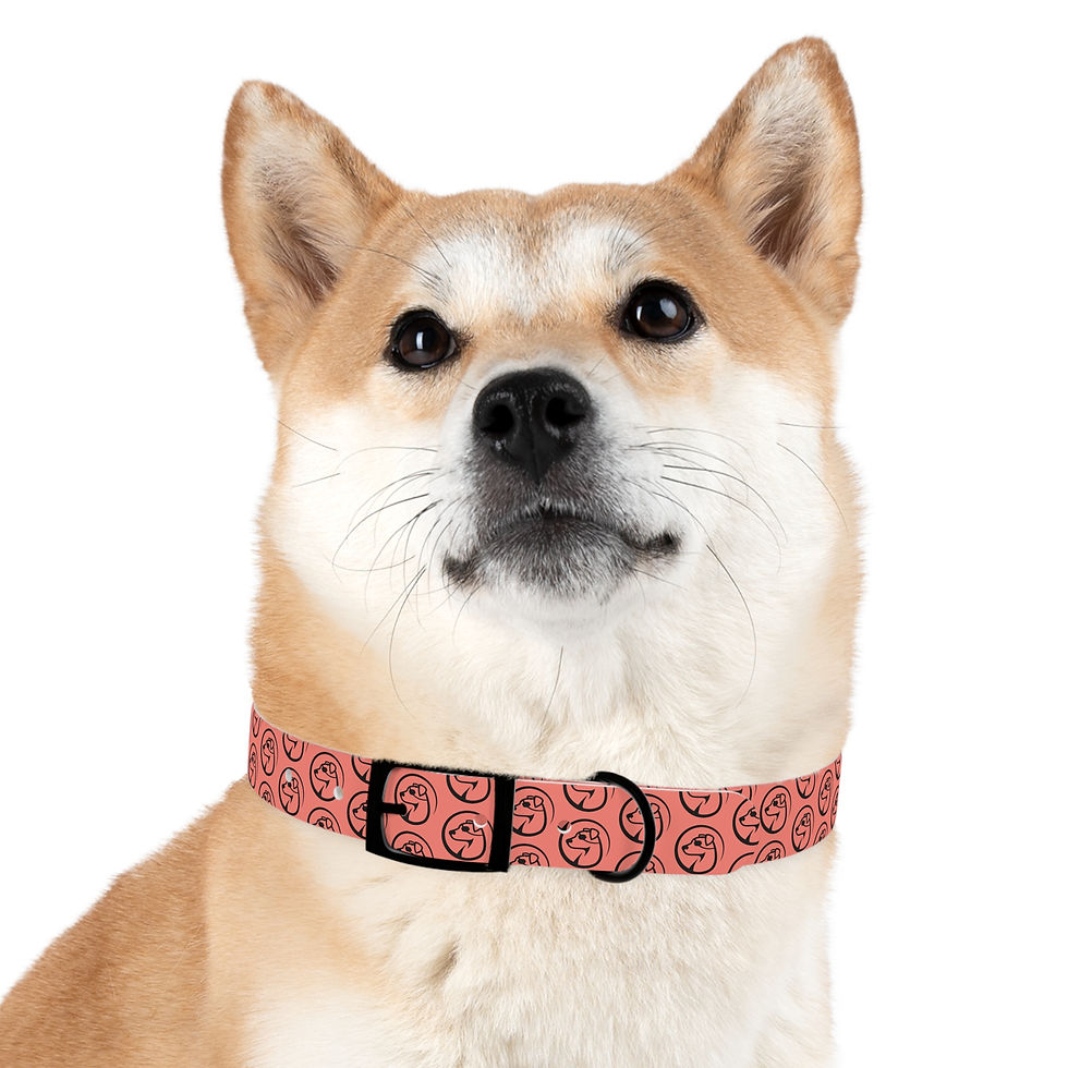 Thumbnail: One Eyed Jack Collar