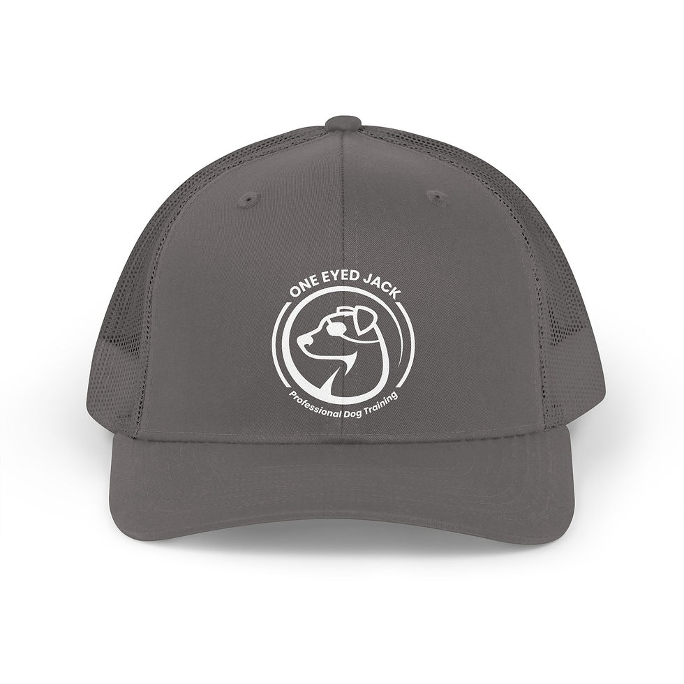 Thumbnail: One Eyed Jack Trucker Hat