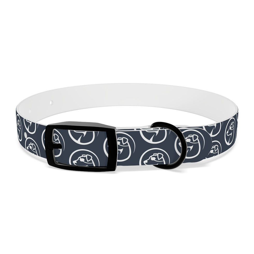 Thumbnail: One Eyed Jack Collar Blue