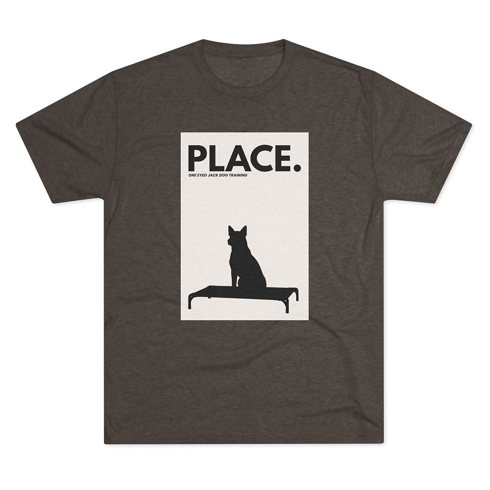 Thumbnail: One Eyed Jack - Place T-Shirt