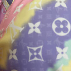 LV BIKINI $60