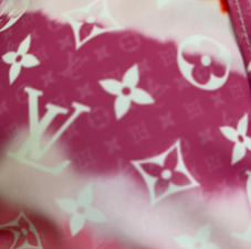 LV BIKINI $60