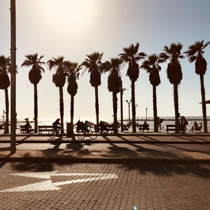 IMG_5399.jpeg