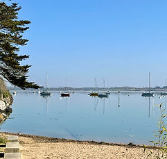Vallée de la Rance entre Dinan et Saint-Malo, nature et paysages bretons