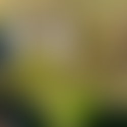 manoir de charme en Bretagne proche de Dinan