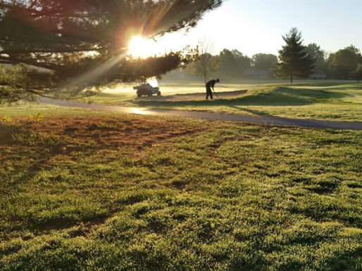 Parcours de golf en forêt proche de dinan Bretagne