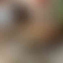 spring trend dining stools