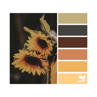 sunflower color palette