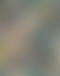 swallows and blooms teal