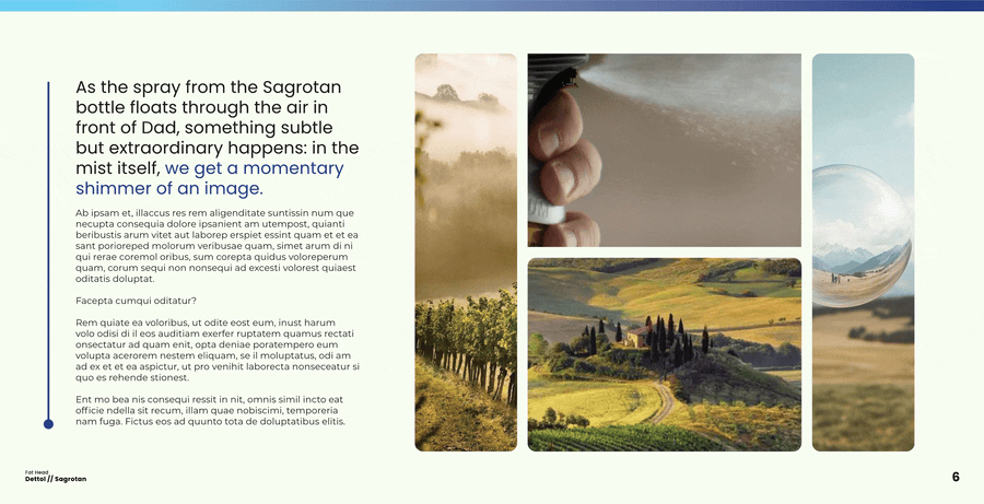 Dettol x Sagrotan FOR FAT HEAD WEBSITE 6.gif