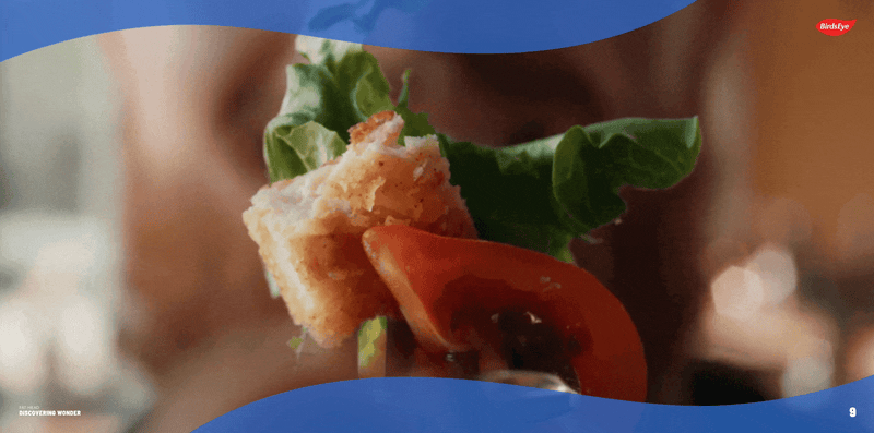 Birdseye Website 8.gif
